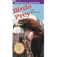 Buy Wildlife: Birds of Prey