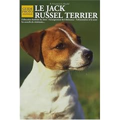 Le Jack Russel Terrier