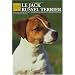 Le Jack Russel Terrier