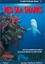 Red Sea Sharks (In Depth Diver's Guides)