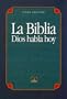 Spanish Giant Print Bible-VP (Spanish Edition)