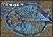 Bon Tool Co. Prehistoric Fossil Stamp Gryodus 8" x 8"