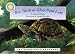 Books : Box Turtle At Silver Pond Lane (Smithsonian Backyard)