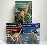 Dinosaur skeleton excavation kit -assort #2