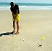 Beach Putter Golf Putting Game, by Out Tide, Inc.