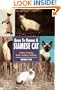 Guide to Owning a Siamese Cat