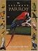 The Ultimate Parrot