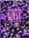 Books : The Plantfinder's Guide to Early Bulbs