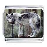 Animal Photo Standing Wolf Italian Charms Bracelet Link