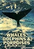 Whales, dolphins and porpoises