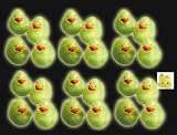 Mini Glow in the Dark Rubber Duckies (24)