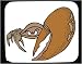 Decorated Mouse Pad with crustacean, fiddler, crab