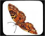 Mouse Pad with butterfly, insect, western, steep, fritillary
