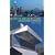 Seattle Architecture: A Walking Guide to Downtown