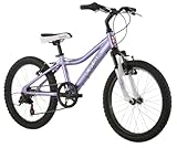 Diamondback Octane Jr Girls' Mountain Bike (2011 Model, 20-Inch Wheels)