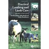 Practical Lambing and Lamb Care: A Veterinary Guide