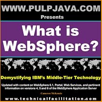 What is WebSphere? Java, J2EE, Portal and Beyond! (Demystifying IBM's Middle Tier Technology, Vol. 1)