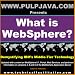 Books : What is WebSphere? Java, J2EE, Portal and Beyond! (Demystifying IBM's Middle Tier Technology, Vol. 1)