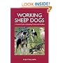 Working Sheep Dogs: A Practical Guide to Breeding, Training and Handling (Landlinks Press)