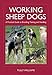 Working Sheep Dogs: A Practical Guide to Breeding, Training and Handling (Landlinks Press)