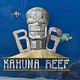 info app+puzzles