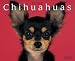 Just Chihuahuas 2007 Calendar (Just)