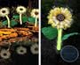 Accent Lighting Set of 4 Solar Powered Sunflower Lights
