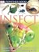 Insect