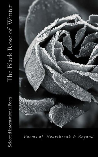 the black rose of winter