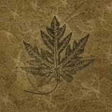 Leaves of Summer HIGH QUALITY CANVAS Print With Light Added BRUSHSTROKES Janel Pahl 12x12 Leaves of Summer HIGH QUALITY CANVAS Print With Light Added BRUSHSTROKES Janel Pahl 12x12
