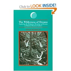 The Wilderness of Dreams: Exploring the Religious Meanings of Dreams in Modern Western Culture (Suny Series in Dream Studies)