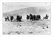 Historic Print (L): [Practice charge of the 8th Gun Cavalry during the punitive expedition in Mexico]