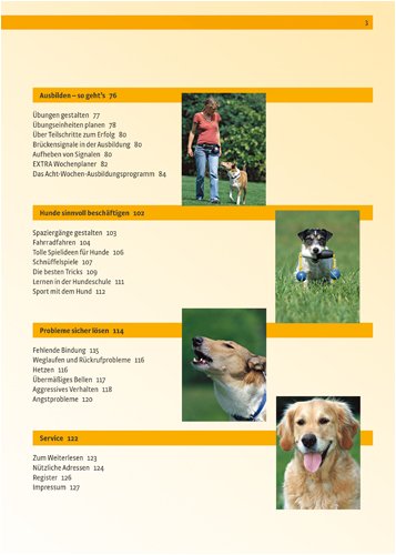 Hundeerziehung: Sozialisierung, Ausbildung, Problemlösung