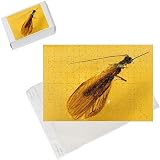 Photo Jigsaw Puzzle of SPH-2161 Stonefly (Plecoptera) embedded in Baltic AMBER from Ardea Wildlife Pets