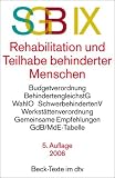 Sozialgesetzbuch (SGB) IX. Rehabilitation und Teilhabe behinderter Menschen: Mit Behindertengleichstellungsgesetz, Wahlordnung, Schwerbehindertenvertretungen, ... und weiteren wichtigen Vorschriften