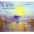 Turner in the Tate Collection