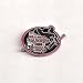 Wisconsin Badgers 2006 National Champs Pin
