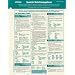 Spanish Verb Conjugation Cards (Foreign Language Verb Conjugation)