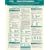 Spanish Verb Conjugation Cards (Foreign Language Verb Conjugation)