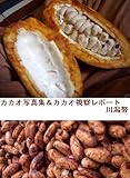 カカオ写真集&カカオ視察レポート