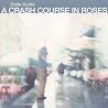 Image of album by Catie Curtis