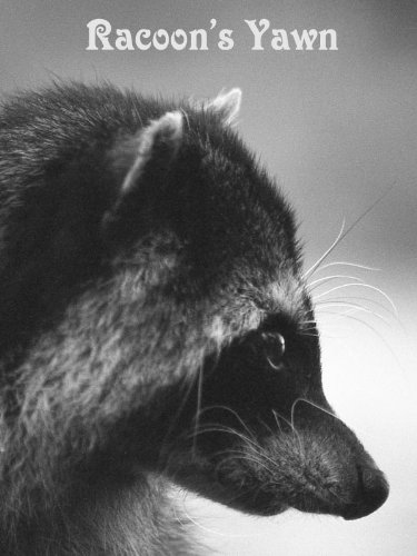 More of Racoon-s Yawn (ver 2.0): a small photobook for Kindle3,ebook books free,ebook for kindle,ebook kindle