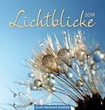 Produkt-Bild: Lichtblicke 2013: Postkartenkalender