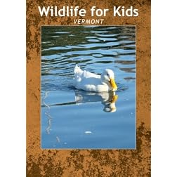 Wildlife for Kids