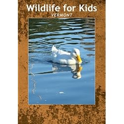 Wildlife for Kids