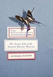 Dry Storeroom No 1 (Paperback)