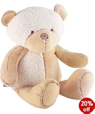 Please Look After Me teddy