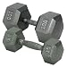 Champion Barbell 10 lbs. Solid Hex Dumbbell with Ergo Grip