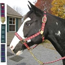 Plaid Nylon Padded Halter with Solid Brass Hardware