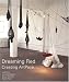 Books : Dreaming Red: Creating ArtPace